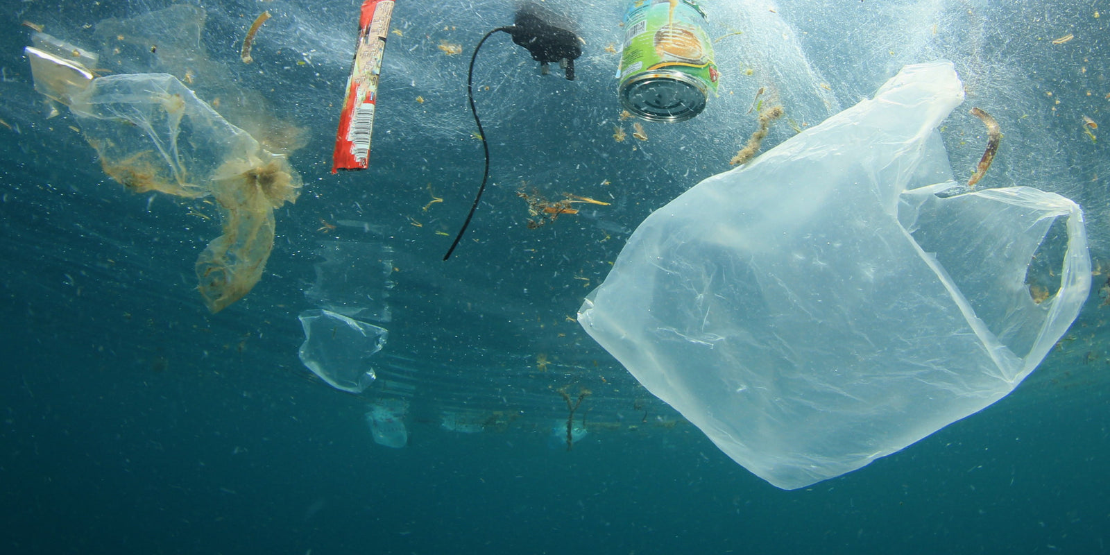 Time To Change: Our Thoughts On Ocean Conservation