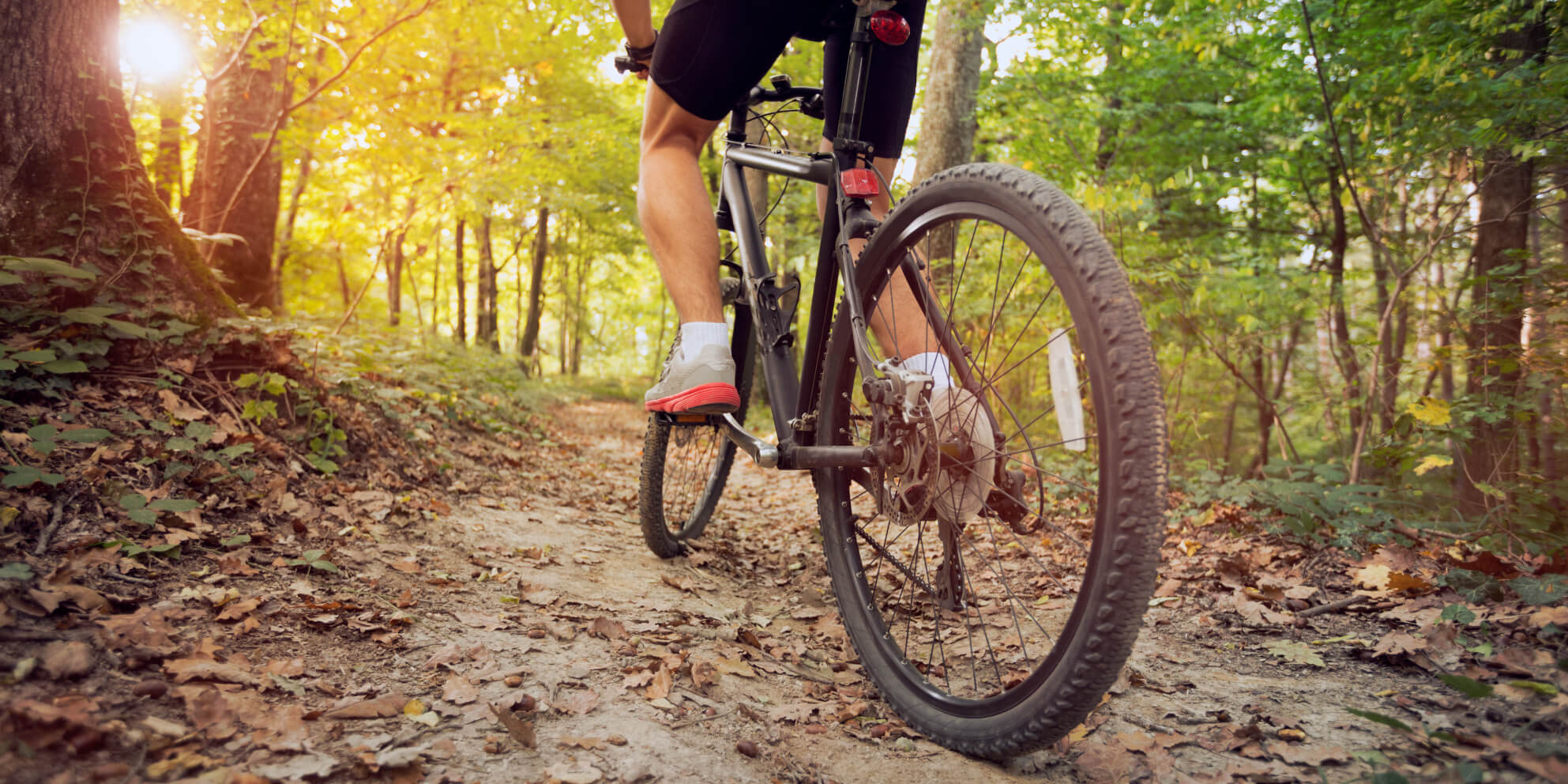 Fabio Wibmer: One Of The World's Most Creative Trial Bikers