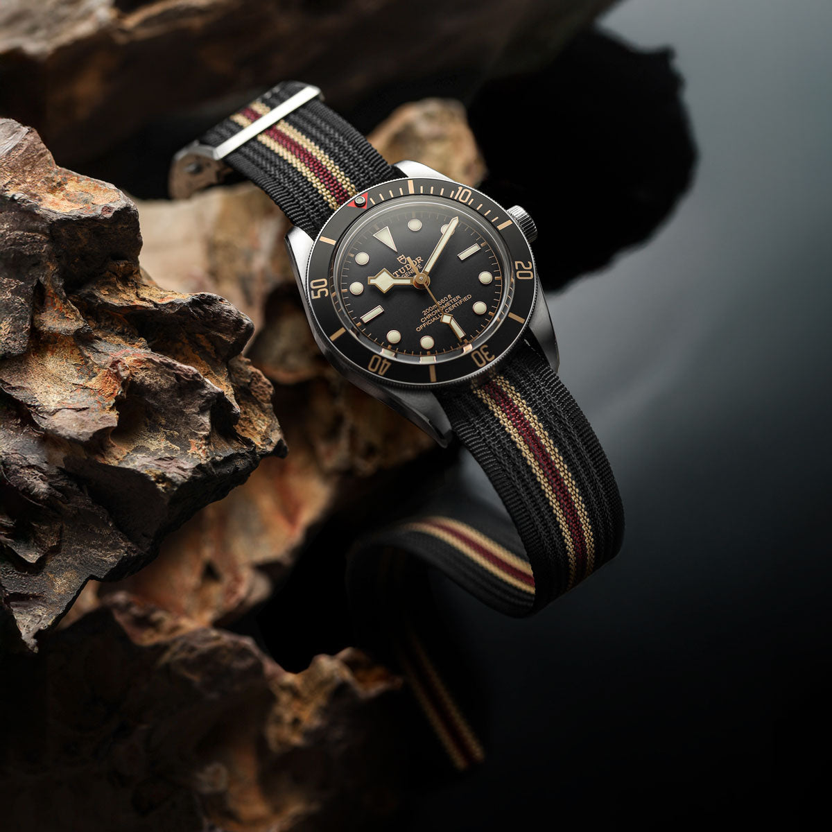 ADDITIONAL - HydraRib OctoPod Watch Strap - Pegasus