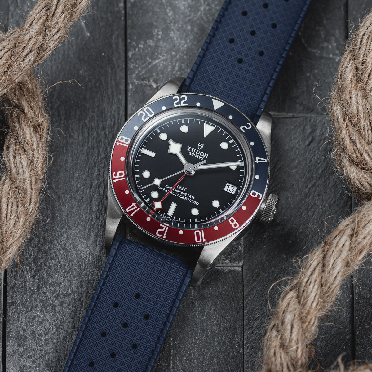 Watchgecko tropic new arrivals